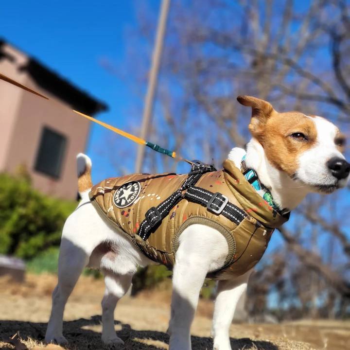 Eb0ab177 eaa6 401f a37b b0237396c2fe 1671767800469