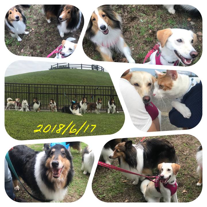 Eb0abdd9 9bac 4516 a975 b9b7f1c3af3b 1529920082238