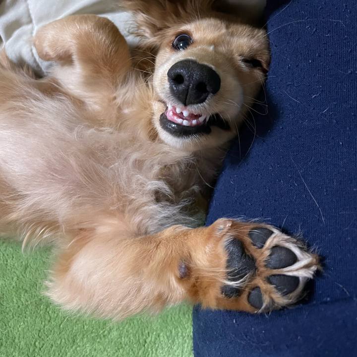 Eb0ac874 5c50 4156 8aed ed531f8361e6 1669984722905