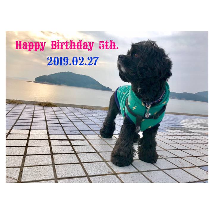 Eb0add14 b1b9 4ea3 a122 502f02f13523 1551242838241