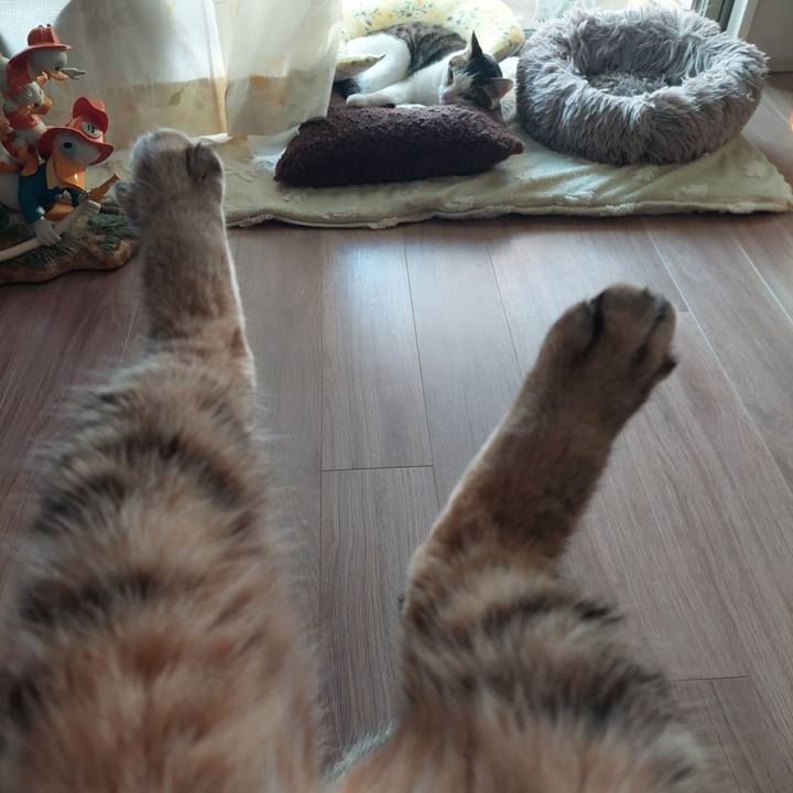 Eb0b0b3f 74d9 4f63 9ebd 4d4de76f5e7e 1771109735391