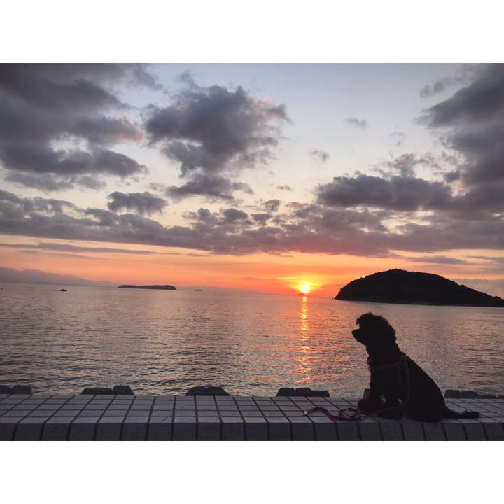 Eb0b2bbf bdf0 4675 bea1 c6a3d623ebbd 1571737354567