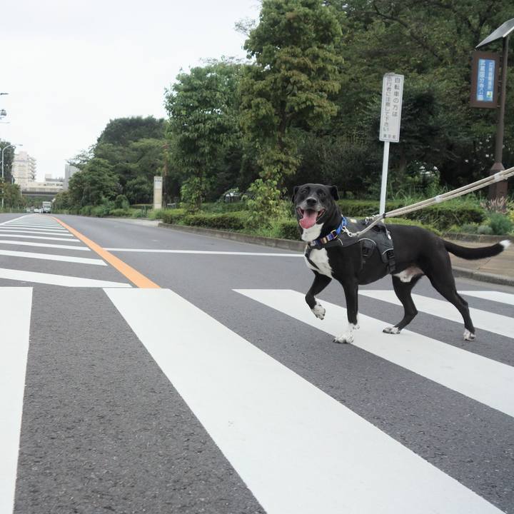 Eb0b2e1c f56d 483e bf85 e978eb00b18c 1661214434813