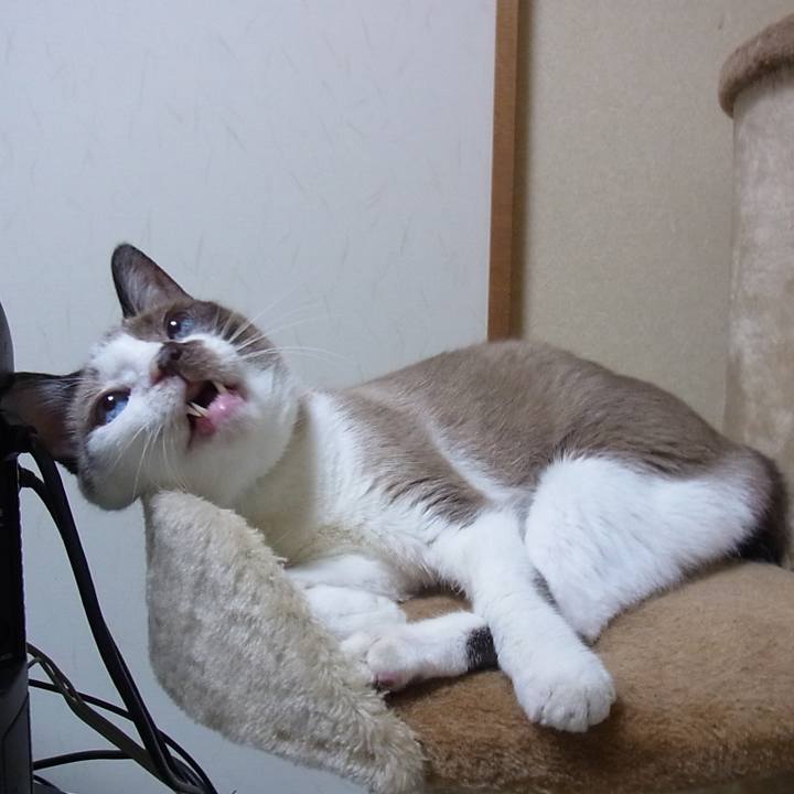 Eb0b38f1 9c11 48c8 a750 6ae51e890d08 1550800683443