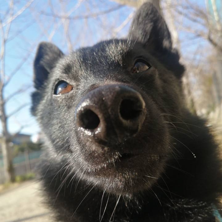 Eb0b736a 6c85 4e54 b0ef fd2a87f87db8 1641083141086