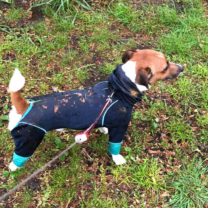 Eb0babdb 81fe 4864 819b 47a877af7c3a 1523746776341