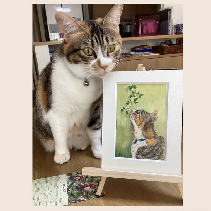 Eb0bb6ba bba7 4d7b 8aef fa75df3349bb 1730611509599