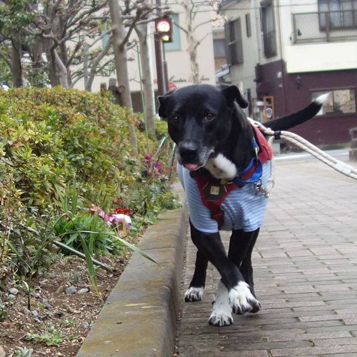 Eb0be70e 77aa 4aea abc5 37cc16008afc 1673742788301