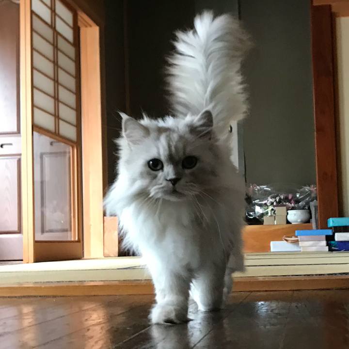 Eb0bf78d 0a0a 492e 8dcf 3a31d4182143 1530657494644