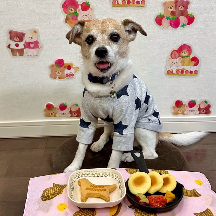 Eb0c03dc 68fe 44f9 9619 645115a1269a 1679307392603