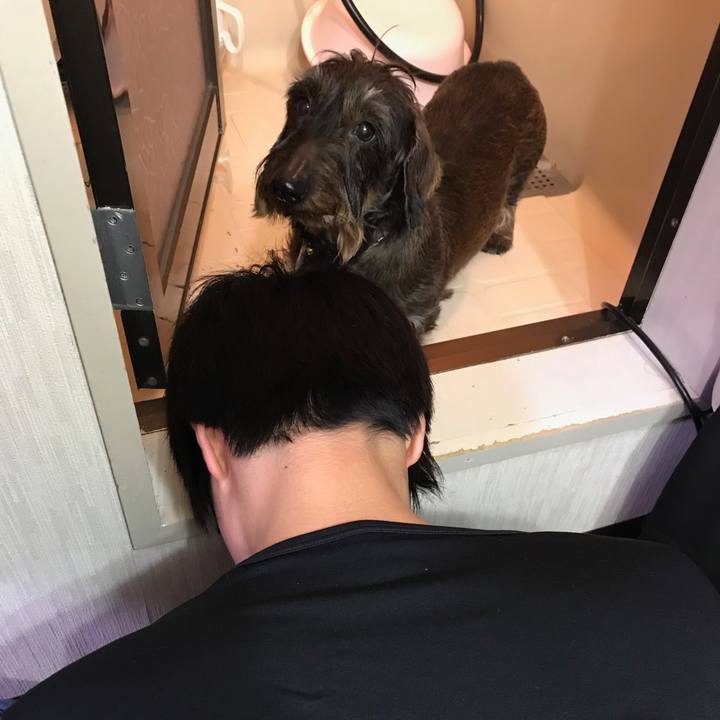 Eb0c316d c04c 44b0 9c96 1f8aae1e0148 1516630867016