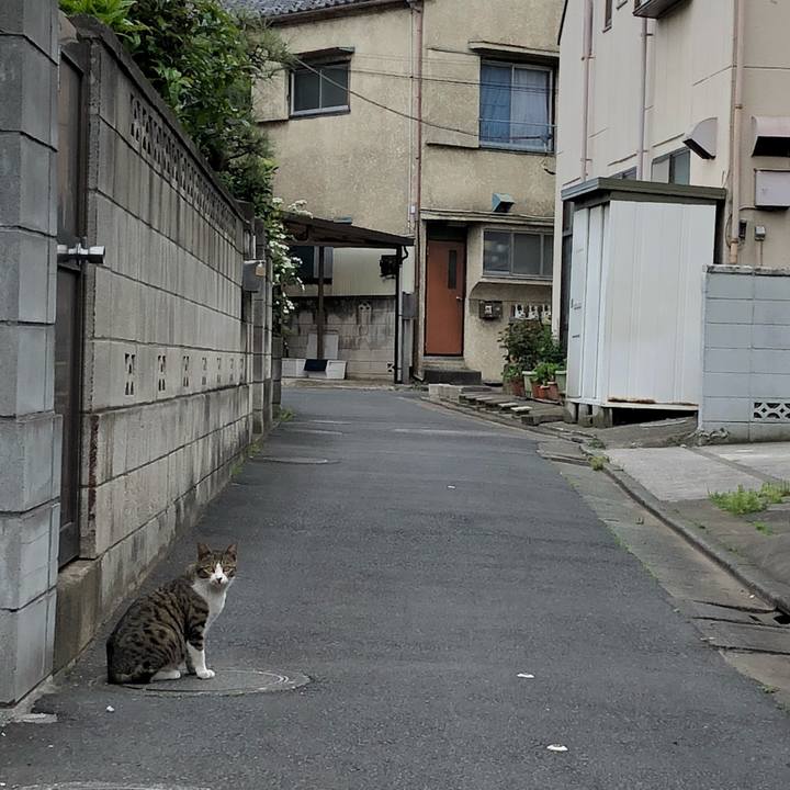 Eb0c4770 fb22 49c9 889f fa0e097c1125 1523867028312