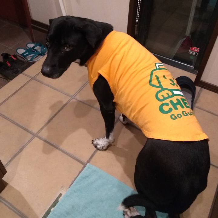 Eb0c664c aac6 4045 aff6 367b856cbbb9 1610274117151