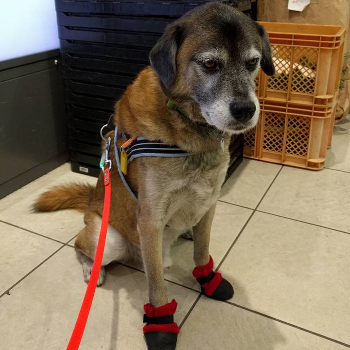 Eb0c699f 4e16 46d0 b925 08f9291b2793 1542108004323