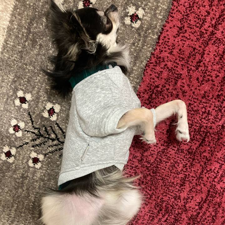 Eb0c6b17 3520 418b 8617 c2f71218964e 1606572927426