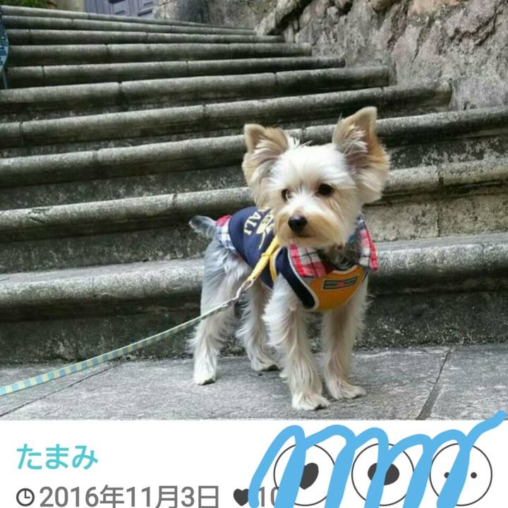 Eb0c6d79 5462 4aa2 bc05 86dfd8b0c2d7 1686024189461