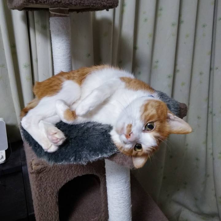 Eb0c90d8 bae4 44eb ae25 48a50a734208 1549541848462