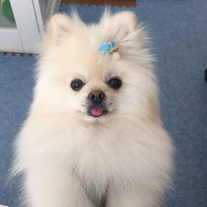 Eb0c9407 eead 4235 ac96 2db8caceea30 1545971576738