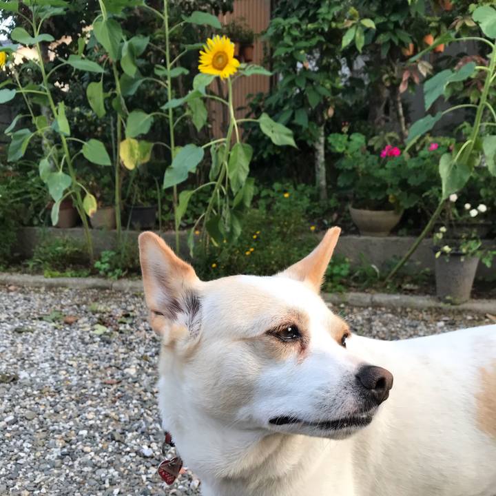 Eb0c94d5 b4c0 405b 9ce0 ddb90bba5784 1595475676538