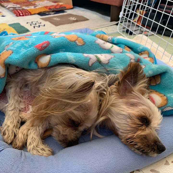 Eb0c9d6e 4a72 4b6f a836 73c52393f1b6 1708852159401