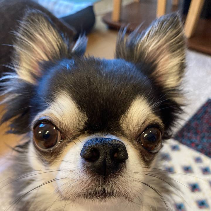 Eb0ce78b f16f 4c0c 9ecb 391d0ae276df 1718410840386