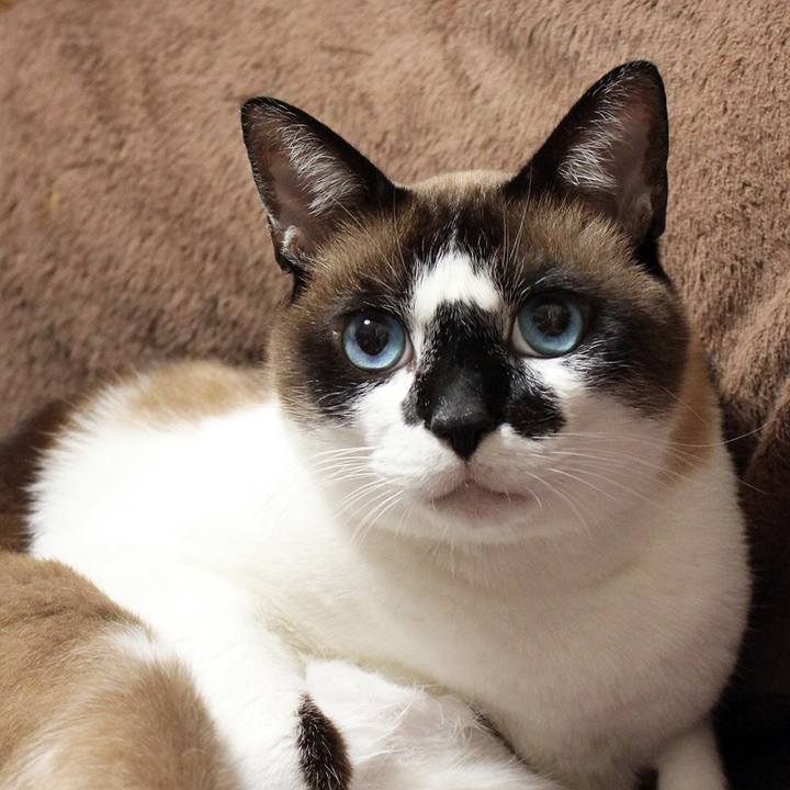 Eb0cf844 ba6a 495c b5ba 620782aaf4f6 1511400479012