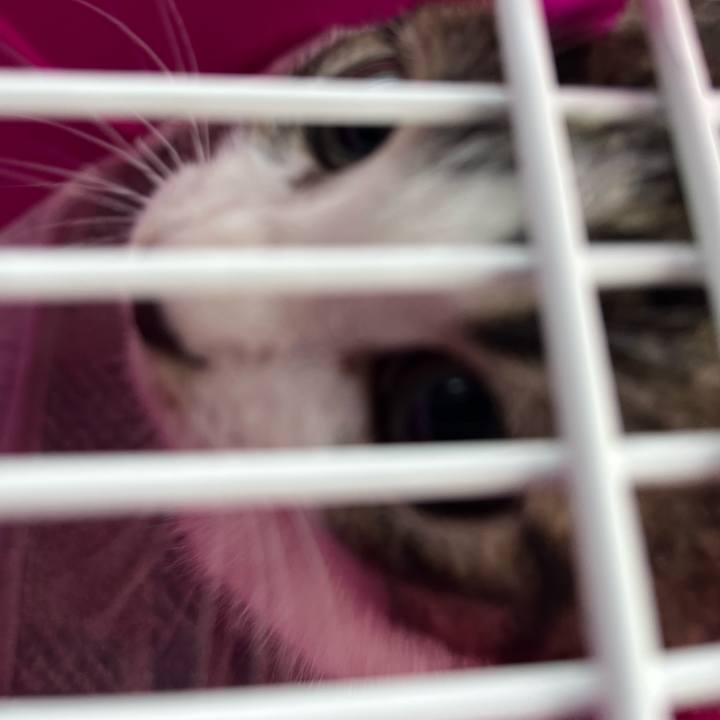 Eb0d1e24 9dd4 4e5c 91b4 cc6fd9d1b081 1766274943496