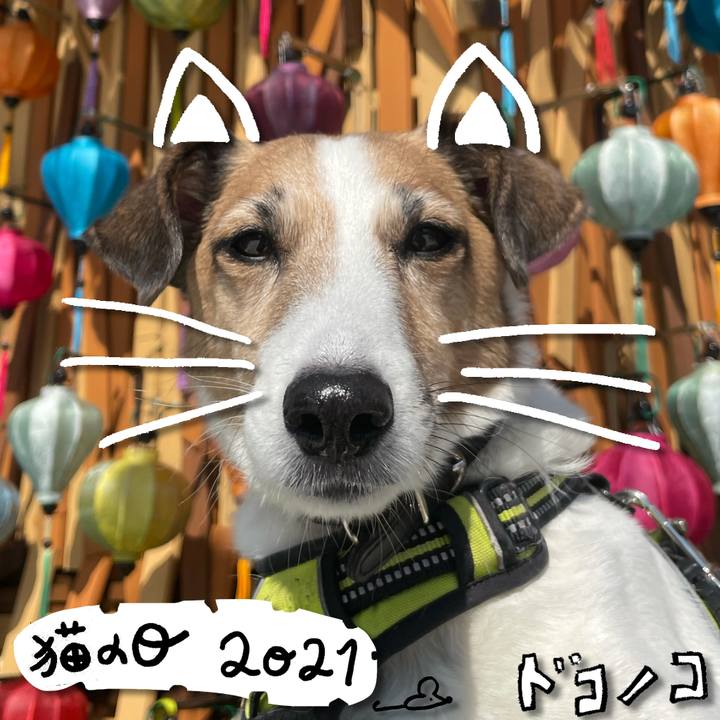 Eb0d21ca 49bb 431a 9ac6 61437332f5ed 1613981204940