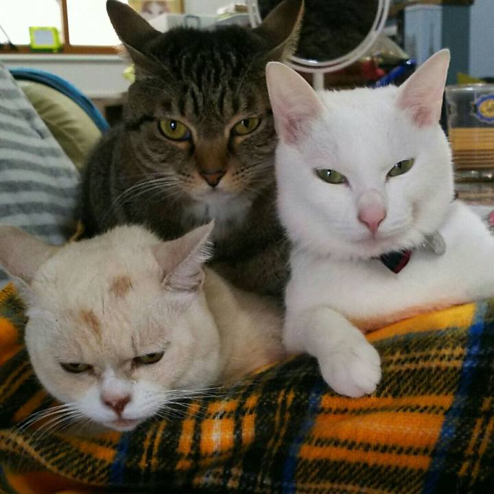 Eb0d491c 3d74 4701 b1af 9b3540999e0a 1517149017550