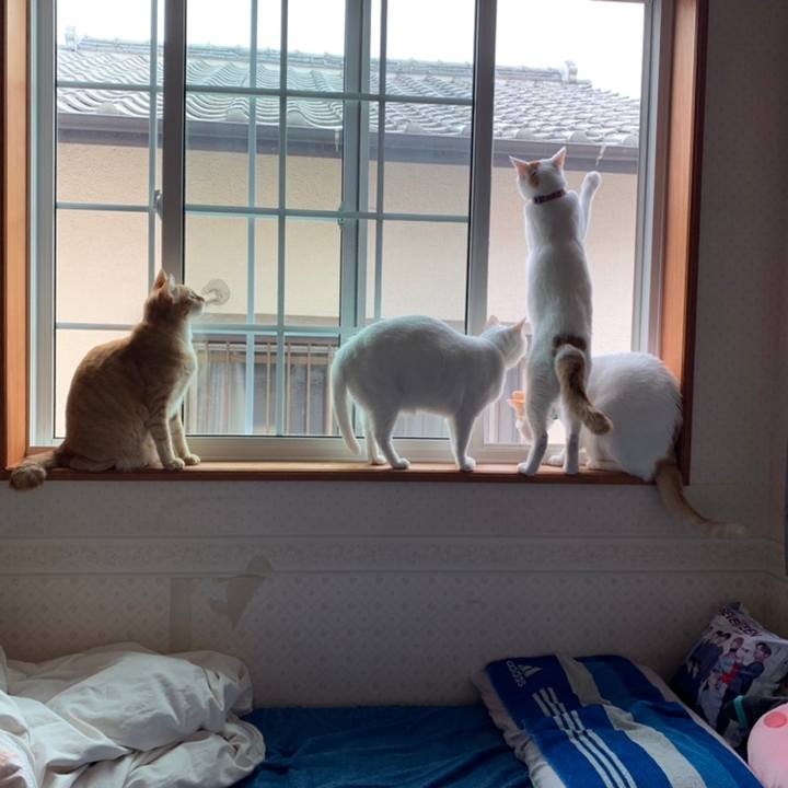 Eb0d4fd2 4346 4dc7 9529 8efc577cded2 1558224534661