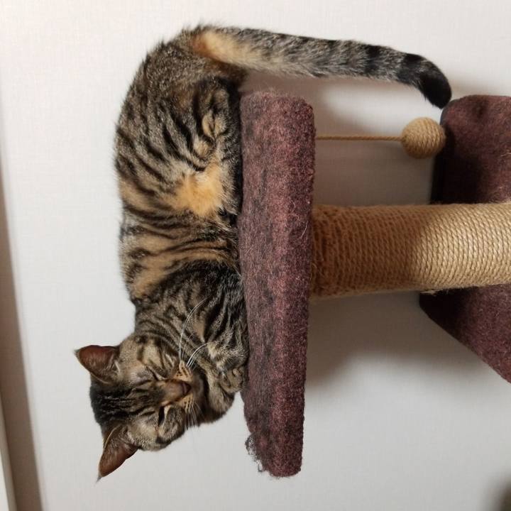 Eb0dbcb6 0223 4180 bf45 fc156d454ca7 1558471852975