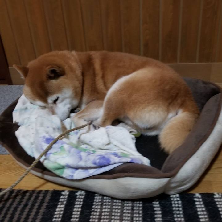 Eb0decda 90b6 49f4 9696 b130e7aed60f 1570530134966