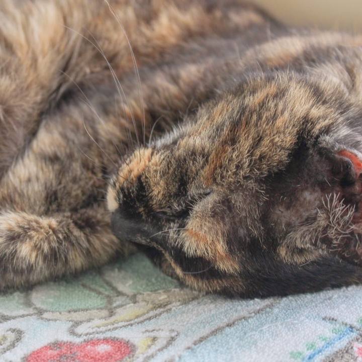 Eb0e3108 ce00 4e4a a2d5 20fb9c26206b 1662427407171