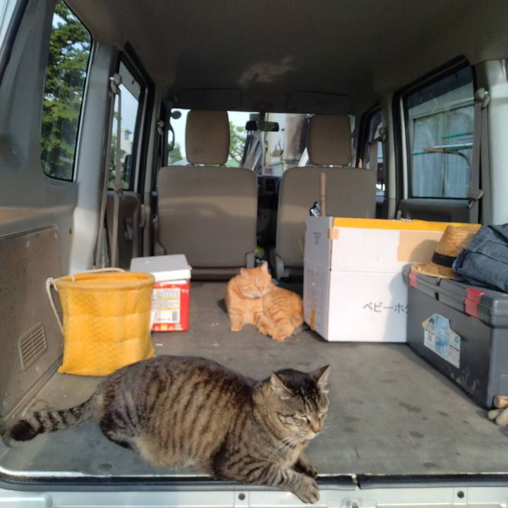 Eb0e3eac c781 4ec6 b237 b68eec6a0c39 1687993490896