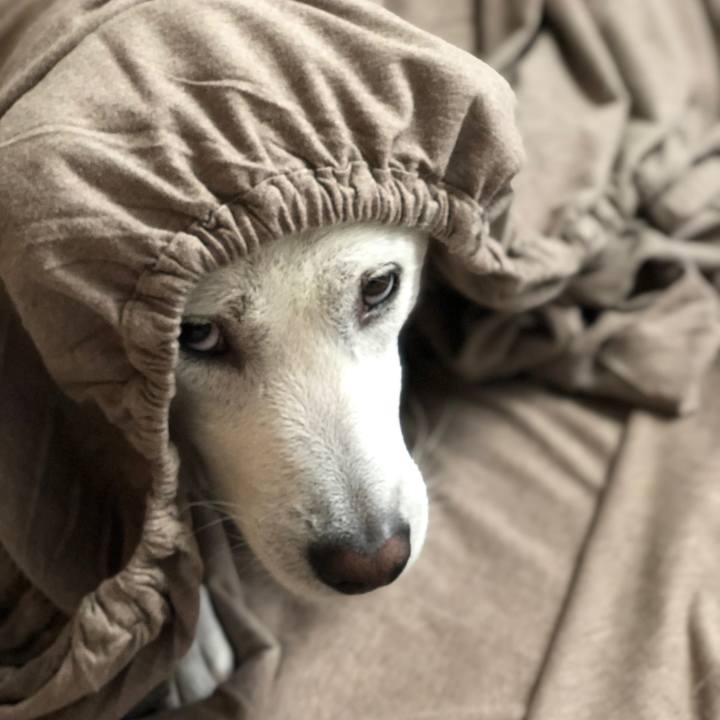 Eb0e41a8 f64a 4ae0 a1aa 0d27c2ea8649 1572052499356