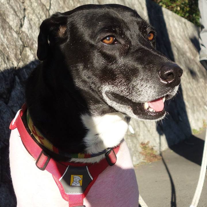 Eb0e5966 96a8 44ee a5ed 9b28bb7073ea 1676509938467