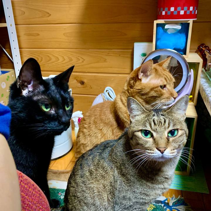 Eb0e5d82 e877 4c54 b261 3e47cf00e035 1625913947584