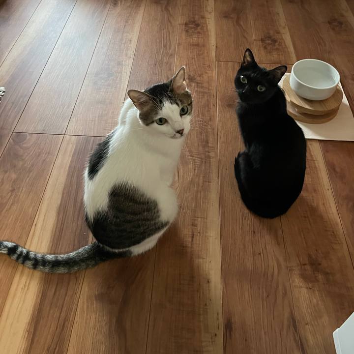 Eb0e6945 0c51 4a2b a1e2 b7dc6b223822 1759145740886