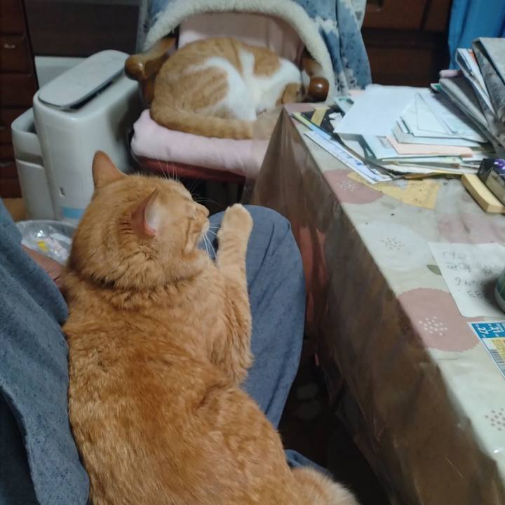 Eb0e7fc0 49e5 4939 9858 1974ac3dbe75 1747740027566