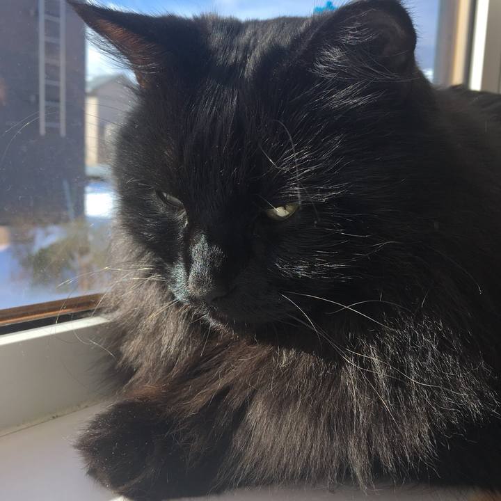 Eb0e8e69 b9c9 4b0c 94fa 83fa58a4248b 1544772086373