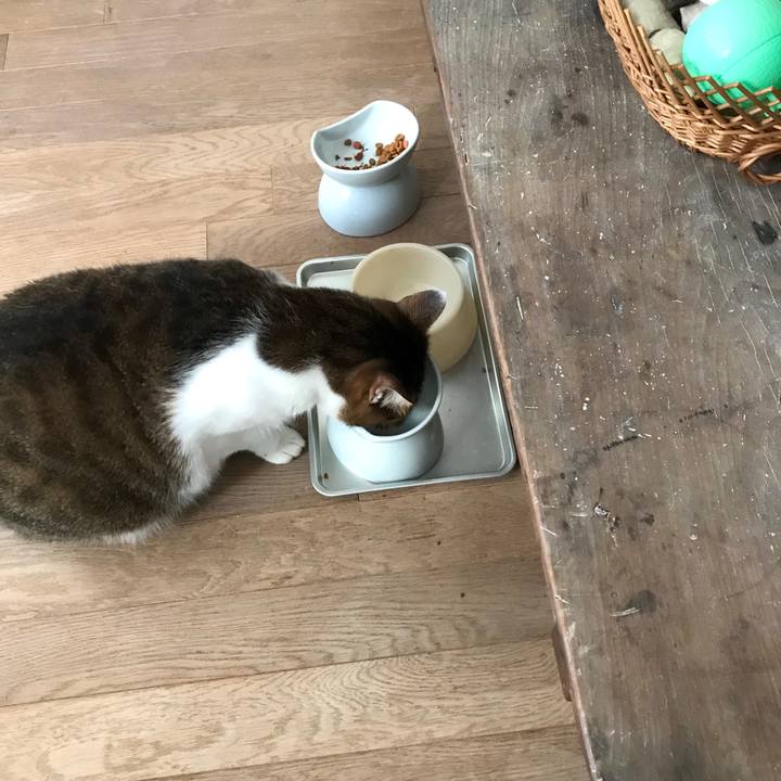 Eb0e9da8 86cb 4461 ba1e 59998ac18d7c 1602052925102