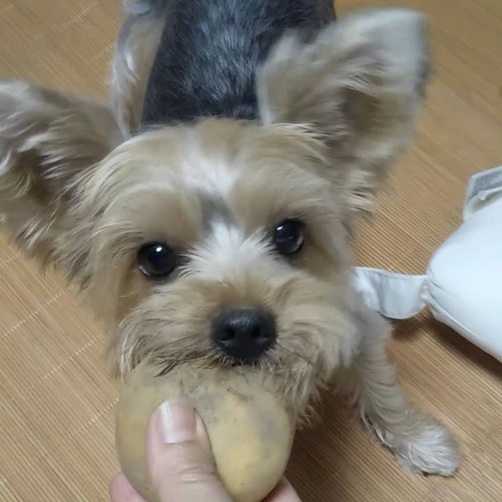 Eb0ebbe0 665b 4602 a9a4 f48042d7b074 1566524820020