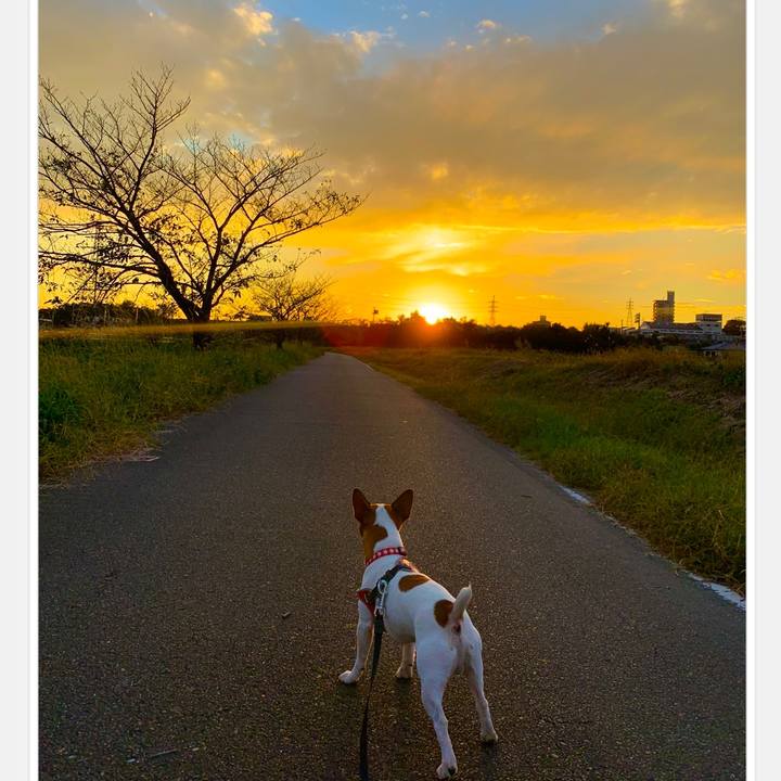 Eb0ec267 8a49 4df4 a9e3 2168fb02db5c 1540025579805