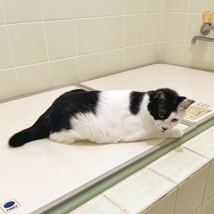 Eb0ef240 ed41 4ca1 a81a 2a3dfbe91cd2 1759100004110