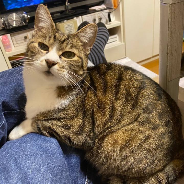 Eb0f04a3 5e67 40ad 89d8 986976f6c7db 1619938135925