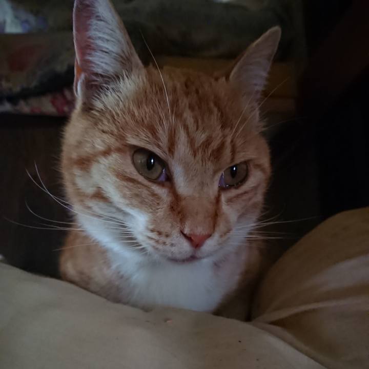 Eb0f1bda a345 4042 b69f 002e8340e3b9 1588547235993