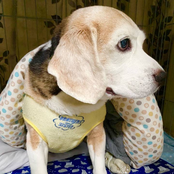 Eb0f3370 d94d 4a23 8b41 ad84a29477ba 1659603394468