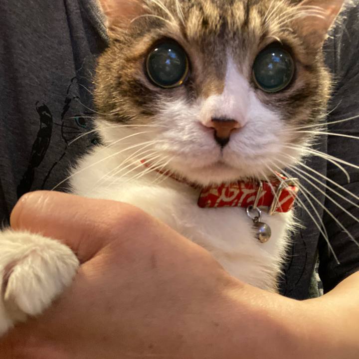 Eb0f7aa1 1f12 495f b714 6da52f221e7c 1582368694947