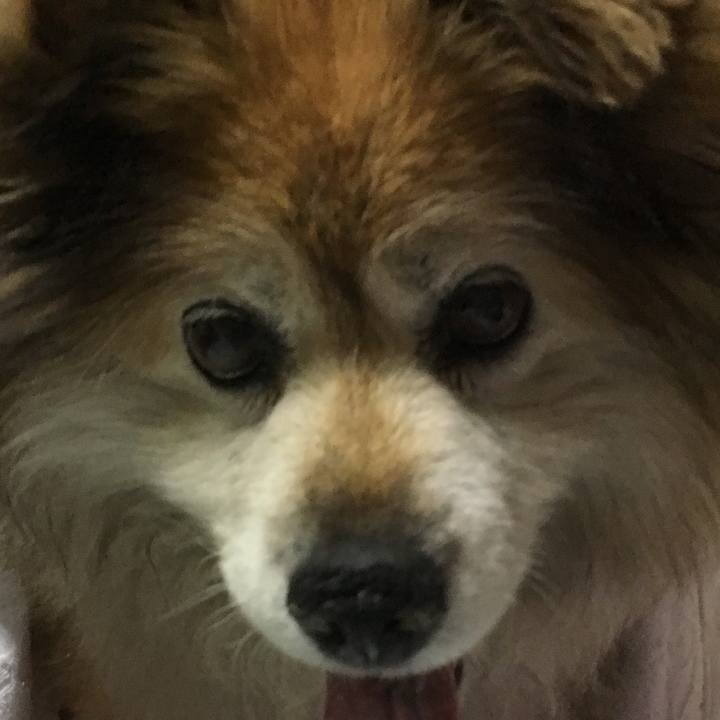 Eb0f7da8 9cbe 478d b8df adf303185041 1605961461248