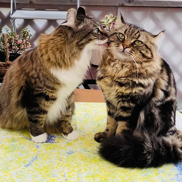 Eb0f8005 759b 4317 a8fa 149e71fb887f 1604901824694